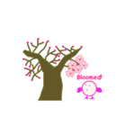 春の桜とお花見スタンプ！(英語）（個別スタンプ：4）