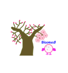 春の桜とお花見スタンプ！(英語）（個別スタンプ：5）