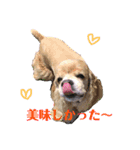 アメコカFuuta③（個別スタンプ：7）