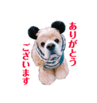 アメコカFuuta③（個別スタンプ：13）