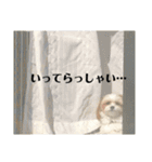 三浦家の愉快な仲間達（個別スタンプ：2）
