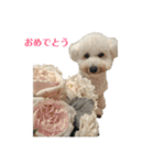リンツの日常（個別スタンプ：3）