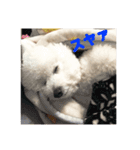 リンツの日常（個別スタンプ：15）
