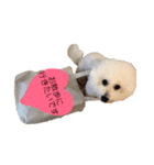 リンツの日常（個別スタンプ：22）
