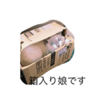 愛しのこむぎ（個別スタンプ：3）