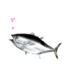 マグロのささやき（個別スタンプ：13）