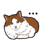 もふねこチャム（個別スタンプ：6）