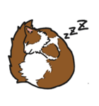 もふねこチャム（個別スタンプ：8）