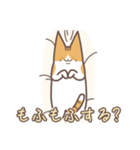 アホ猫 ポンズ 第二弾！！（個別スタンプ：16）