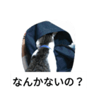かいちゃんとの日常（個別スタンプ：9）