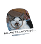 かいちゃんとの日常（個別スタンプ：10）