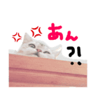 可愛い陽菜ちゃんスタンプ（個別スタンプ：3）