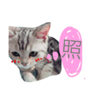 可愛い陽菜ちゃんスタンプ（個別スタンプ：4）