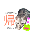 可愛い陽菜ちゃんスタンプ（個別スタンプ：5）