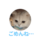 ぼく、つかさくん（個別スタンプ：12）