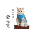 ぼく、つかさくん（個別スタンプ：18）