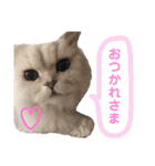 ぼく、つかさくん（個別スタンプ：19）