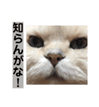 ぼく、つかさくん（個別スタンプ：20）