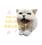 ぼく、つかさくん（個別スタンプ：23）