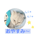 ぼく、つかさくん（個別スタンプ：24）