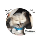 ぼく、つかさくん（個別スタンプ：28）