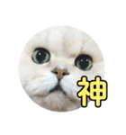 ぼく、つかさくん（個別スタンプ：30）