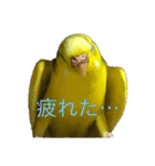 セキセイインコ「ゆずちゃん2」（個別スタンプ：7）