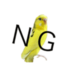 セキセイインコ「ゆずちゃん2」（個別スタンプ：21）