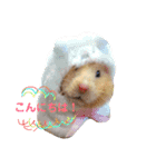 pet animal stamp（個別スタンプ：1）
