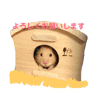 pet animal stamp（個別スタンプ：3）