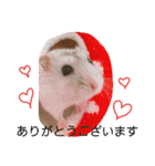 pet animal stamp（個別スタンプ：7）