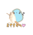 かわいいパトのスタンプ（個別スタンプ：4）