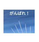 戦闘機の写真で伝える日常会話♪（個別スタンプ：10）