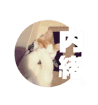 ビスコのスタンプ「子猫の言い分Part3」（個別スタンプ：6）