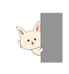 ねこうさたん（個別スタンプ：5）