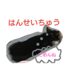 コーギーリクの意見（個別スタンプ：6）
