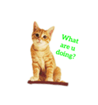 子猫のベンジー（個別スタンプ：2）