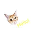 子猫のベンジー（個別スタンプ：3）