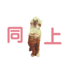 子猫のベンジー（個別スタンプ：7）