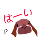 オシャレうさぎ♡ロップイヤー♡40スタンプ（個別スタンプ：6）