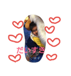 おひさま日和（個別スタンプ：22）