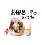 My dog ​​love love love（個別スタンプ：5）