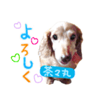 My dog ​​love love love（個別スタンプ：9）