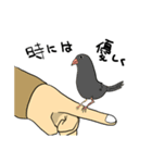 まゆげがつたえる。素晴らしい言葉。（個別スタンプ：3）