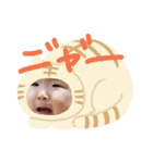あやちゃんだぞ（個別スタンプ：6）
