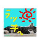 もぐもぐ＆にこぷーもりだくさんBOX（個別スタンプ：3）