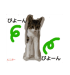 もぐもぐ＆にこぷーもりだくさんBOX（個別スタンプ：5）