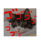 もぐもぐ＆にこぷーもりだくさんBOX（個別スタンプ：6）