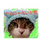 もぐもぐ＆にこぷーもりだくさんBOX（個別スタンプ：11）