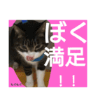 もぐもぐ＆にこぷーもりだくさんBOX（個別スタンプ：14）